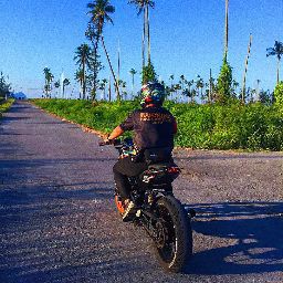 Profile Picture