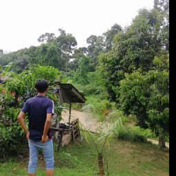 Profile Picture