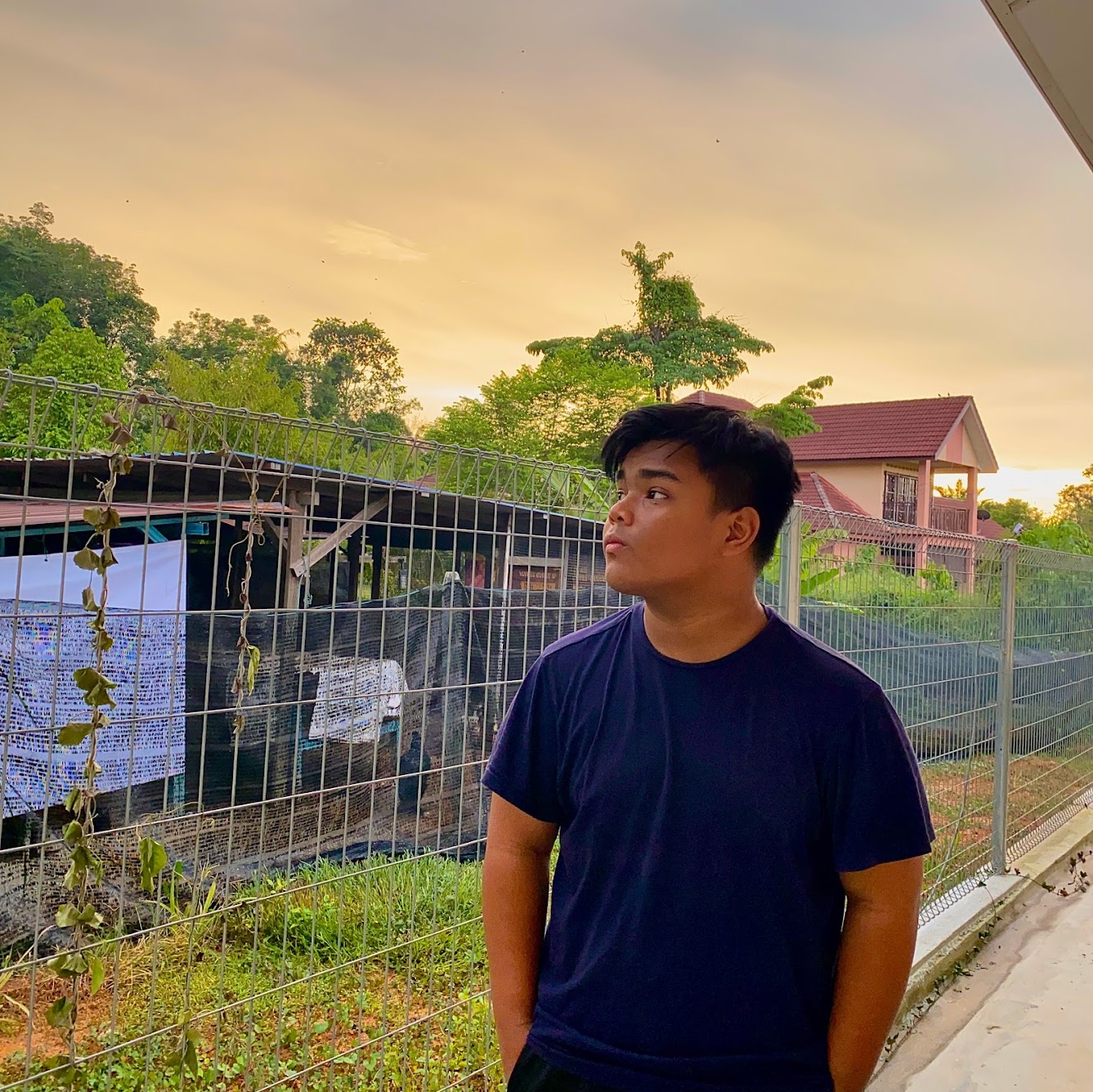 Profile Picture