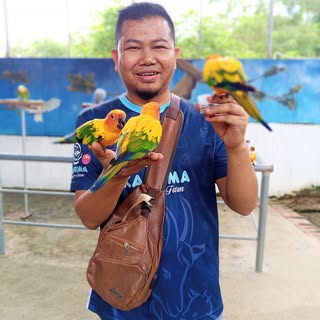 Profile Picture